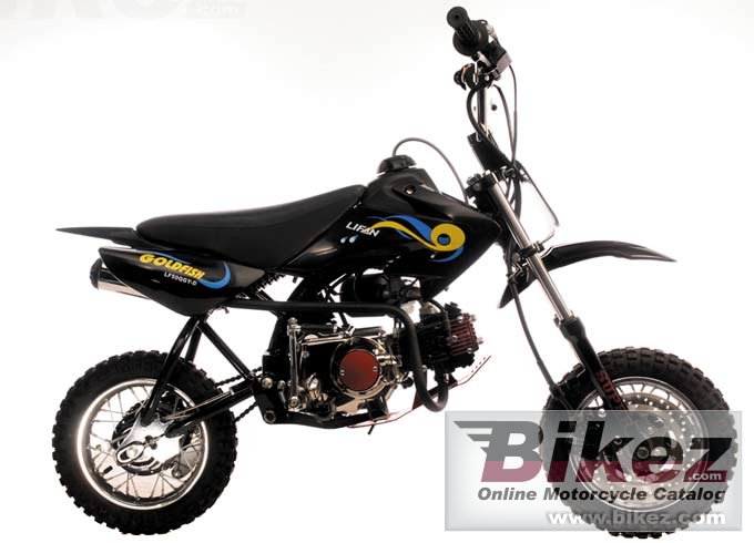 Big Lifan goldfish 50 picture and wallpaper from Bikez.com